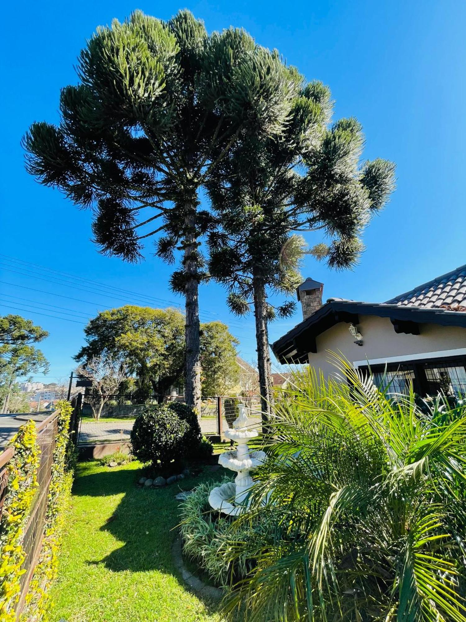 Residencial Pine House Hotel Canela Luaran gambar